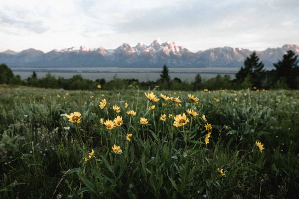 Child hiker with altitude sickness in Cora, Wyoming