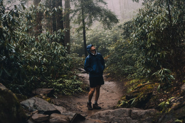 Distressed Hikers