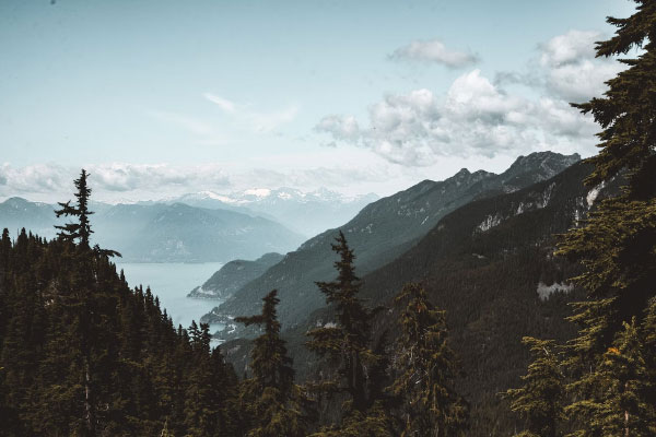 Search and Rescue in Fraser Valley, British Columbia